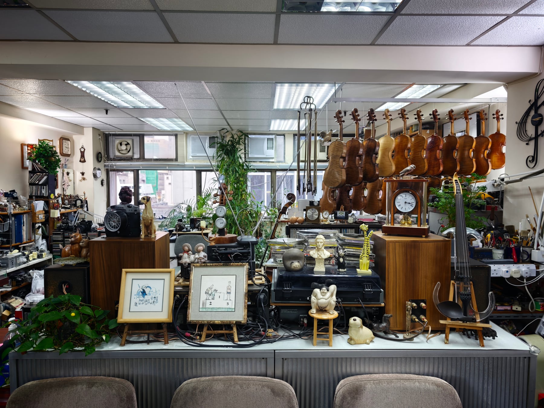 Panda Camera-Repair Serviceの店内。壁にいくつものバイオリンが掛かり、時計やカメラなどの品々が並んでいる