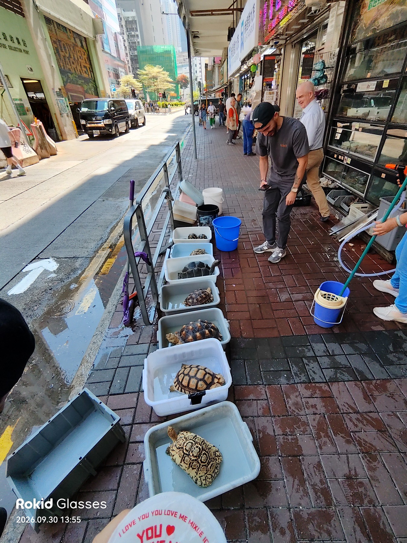 旺角の店先で、水を張った容器に一匹ずつ入れられた亀が歩道に並び、人が覗き込んでいる。手前には蜜雪氷城のカップが写る