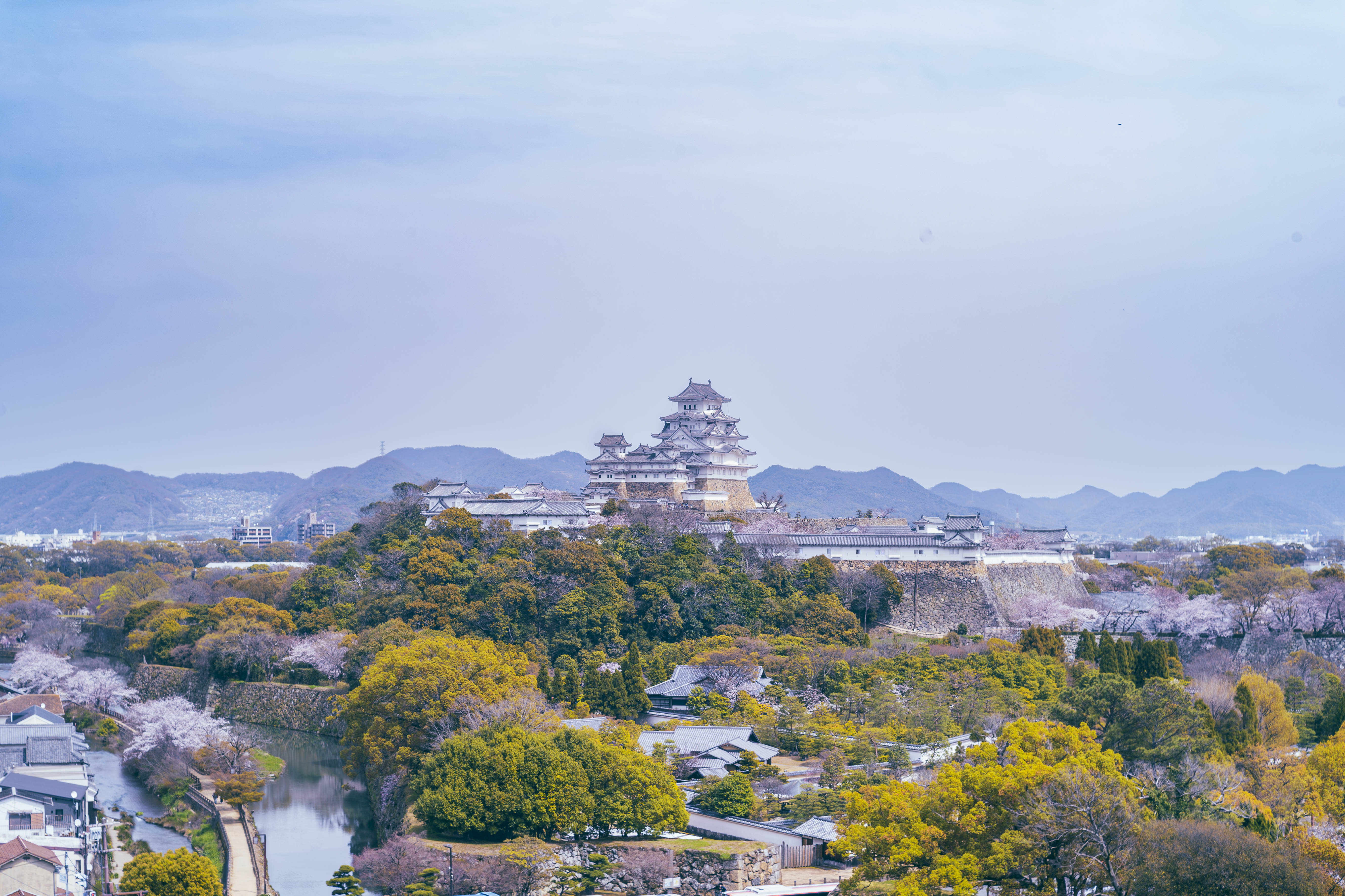 Himeji Castle — View 2: Southwest Panorama — Castle in Cherry Blossom Clouds (from Undisclosed (photographed from a private space), spring evening)