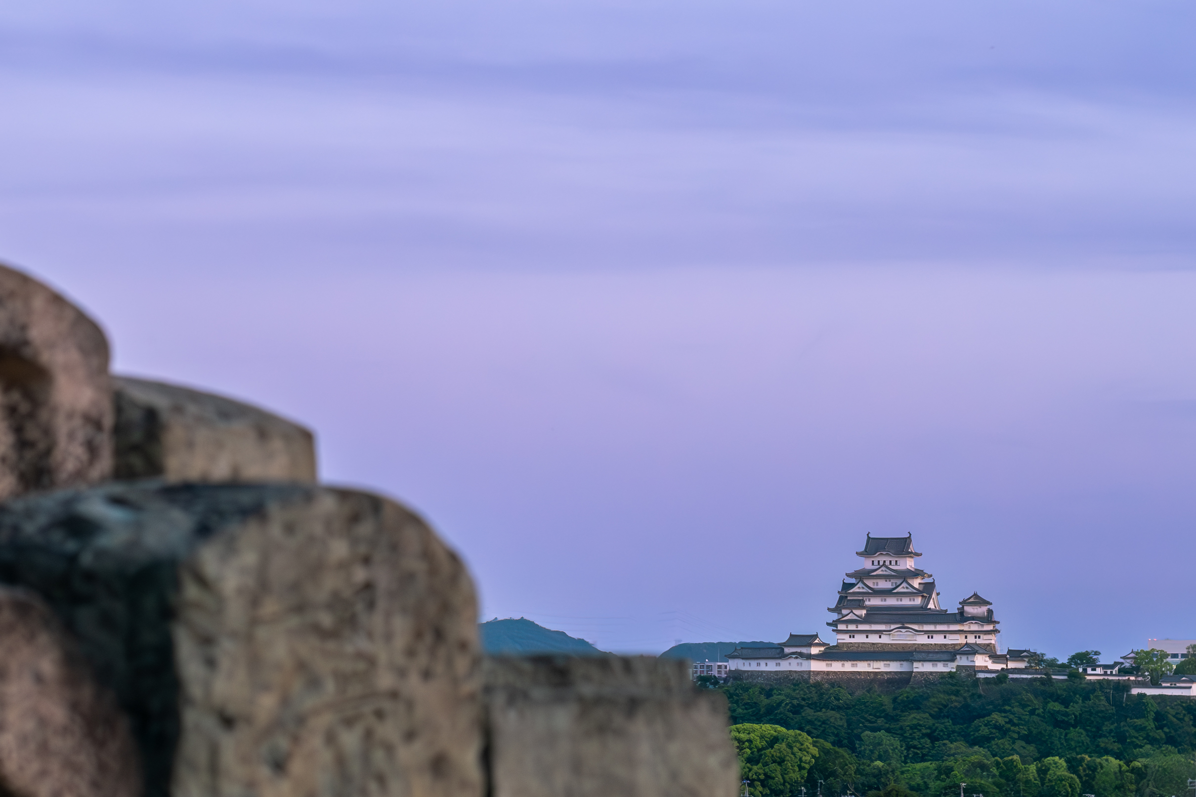 姫路城 — 第八景 東光寺霊園 暮色と白鷺（東光寺霊園から、夏の夕方）