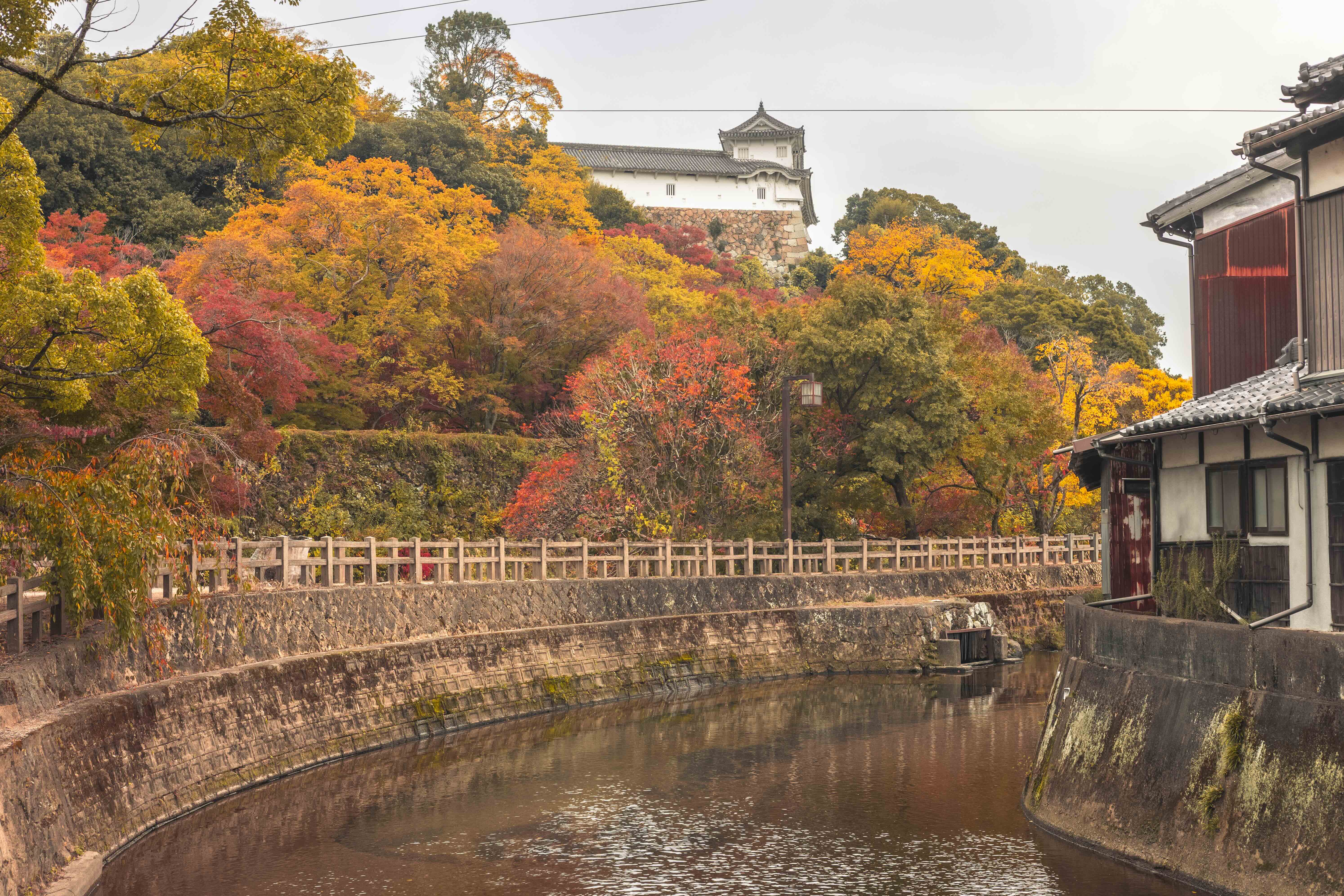 姫路城 — 第十六景 千姫小径 堀端の錦秋（千姫の小径（内堀沿い）から、秋の午後）