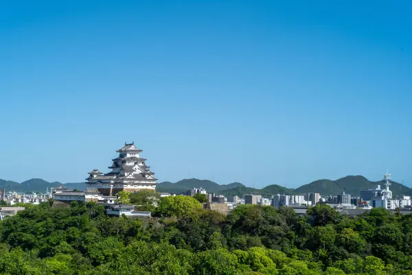 Otokoyama Heights — Tower Complex in Fresh Green