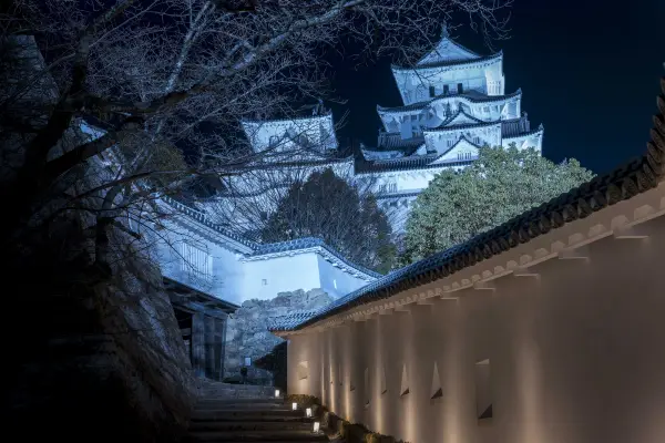 夜の将軍坂 静寂の石段