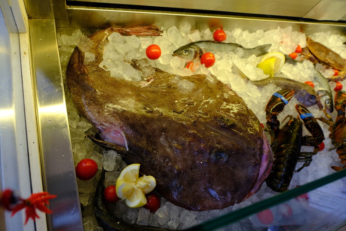 この巨大なアンコウ