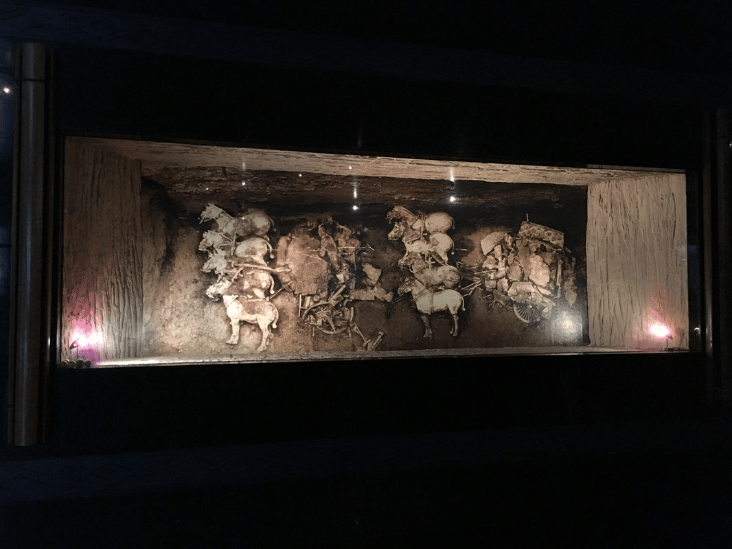 出土状態の写真