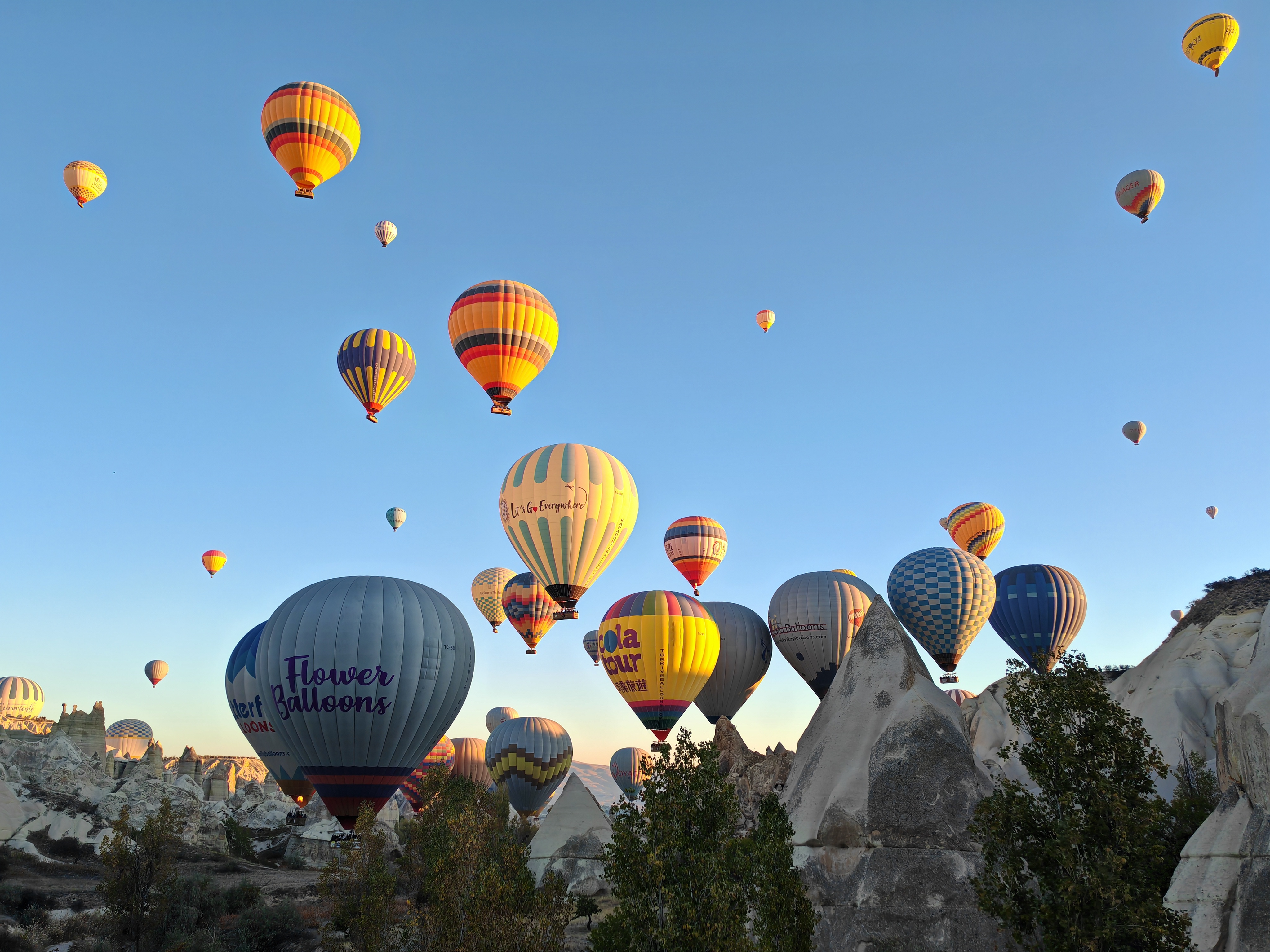 気球からの眺望