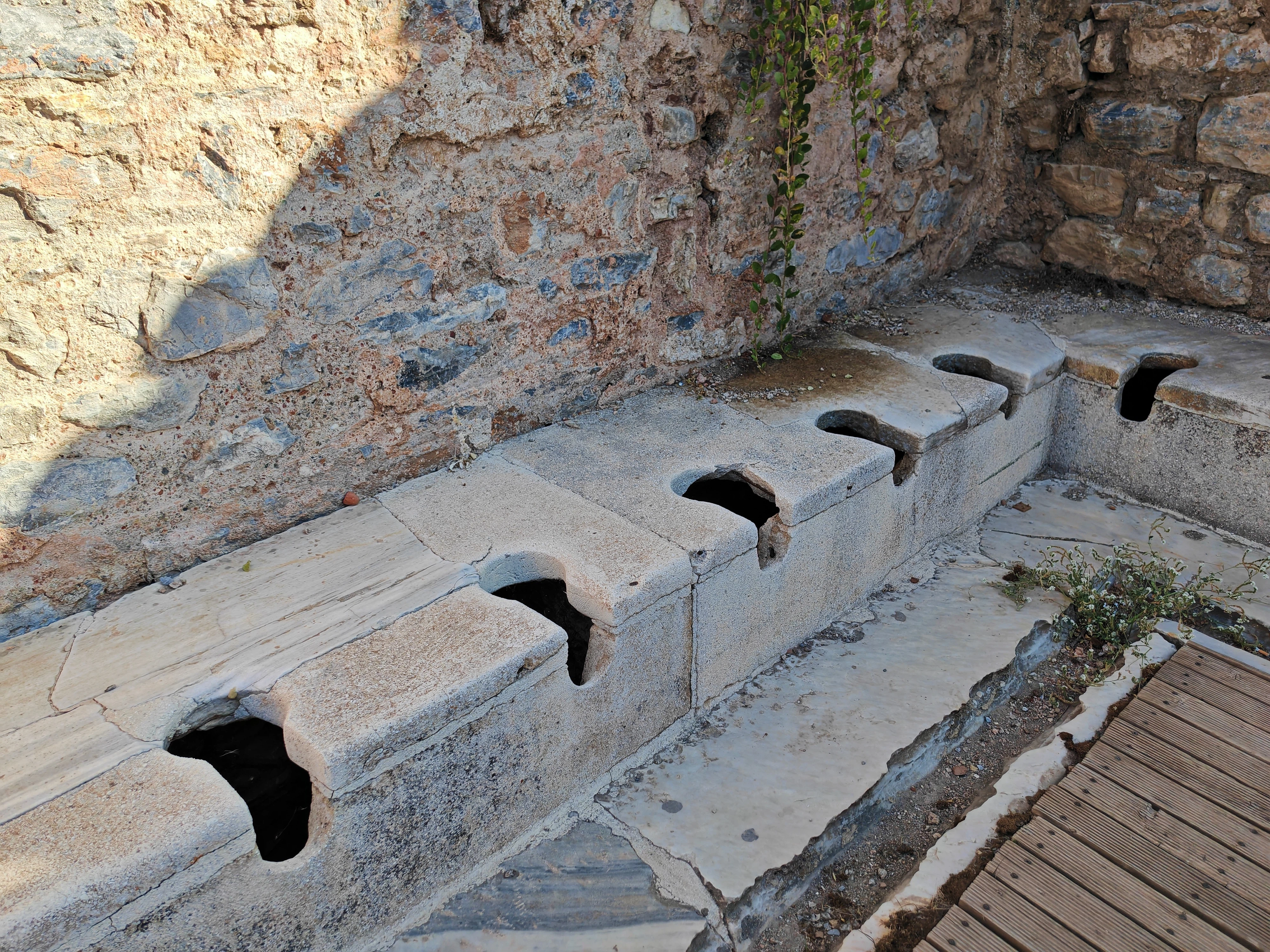 公衆トイレの便座