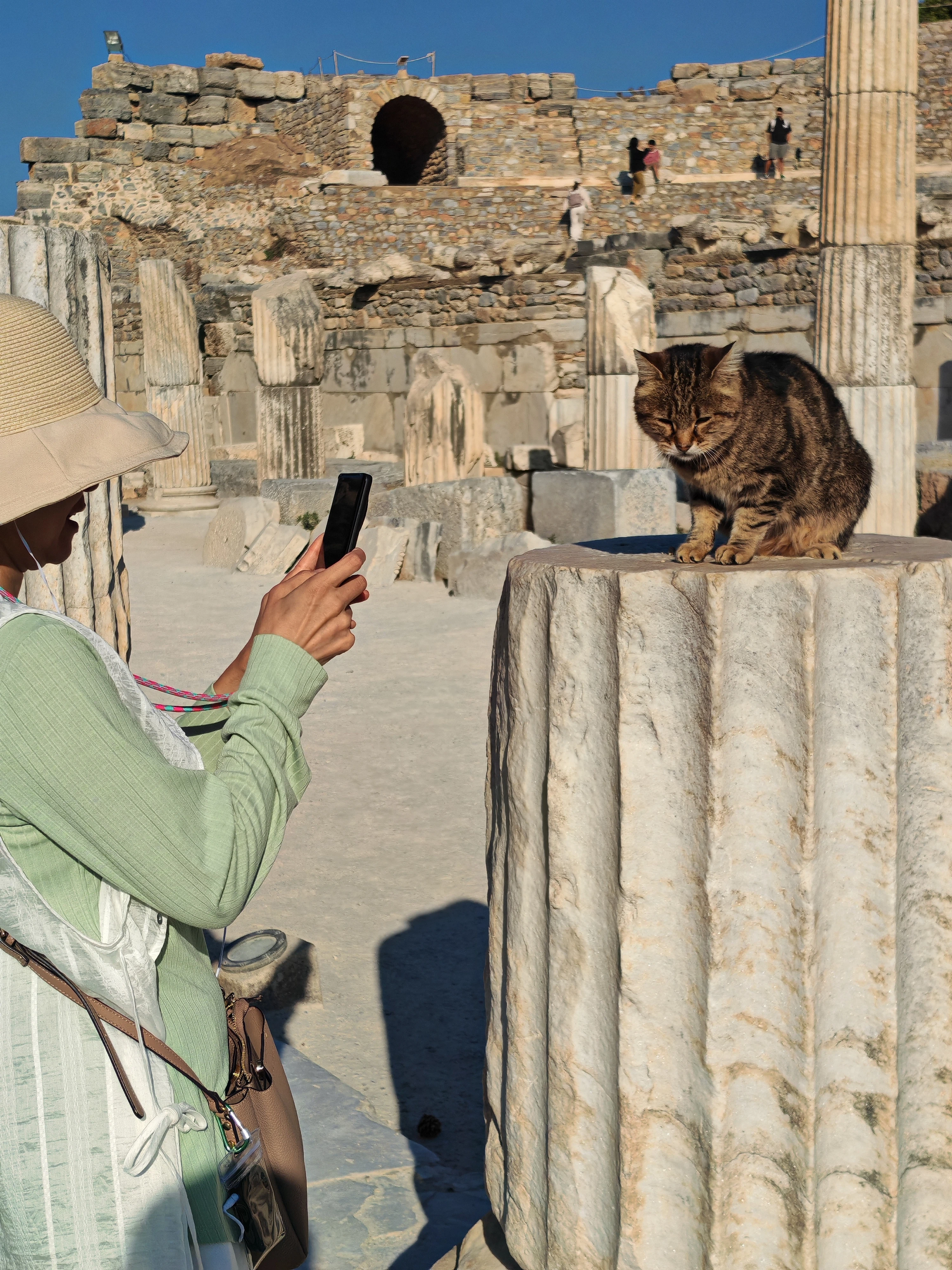 遺跡の猫2
